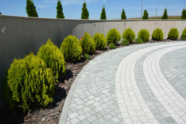 Reasons to Select Us for Your Driveway Paving Requirements in Gibraltar, MI